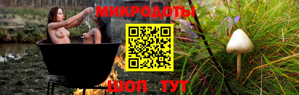 Псилоцибиновые грибы мицелий Рязань