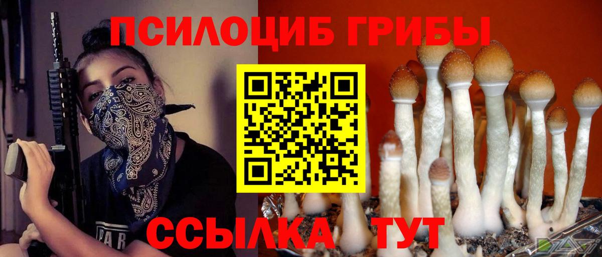 Галлюциногенные грибы Psilocybe  Галлюциногенные грибы Psilocybine cubensis  Рязань  что такое наркотик  Вход с VPN 